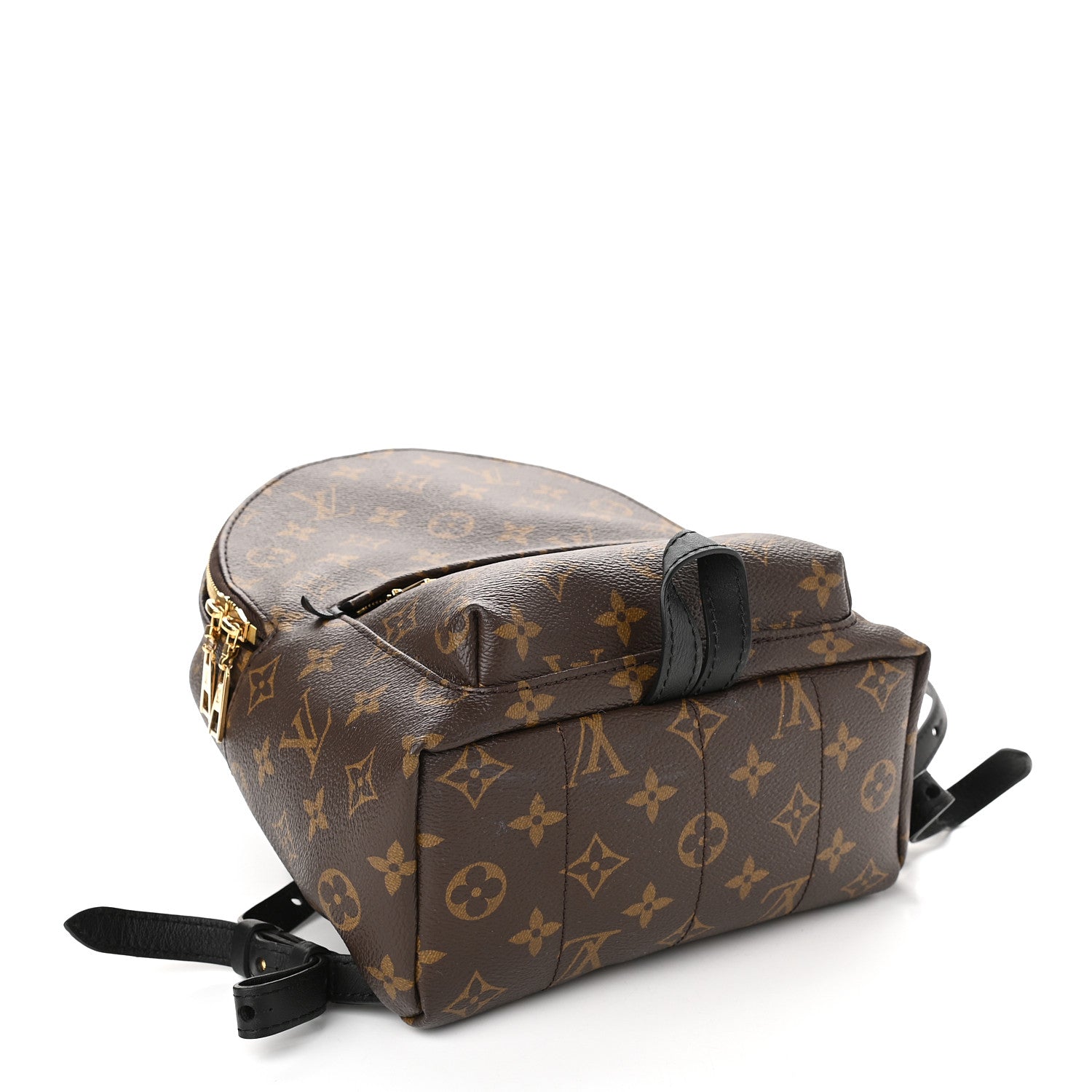 Louis Vuitton Monogram Palm Springs Backpack PM 4 of 9