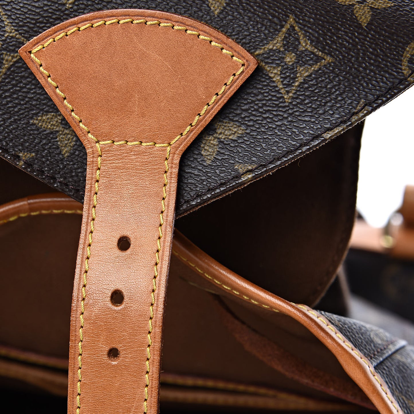 Monogram Montsouris GM Backpack