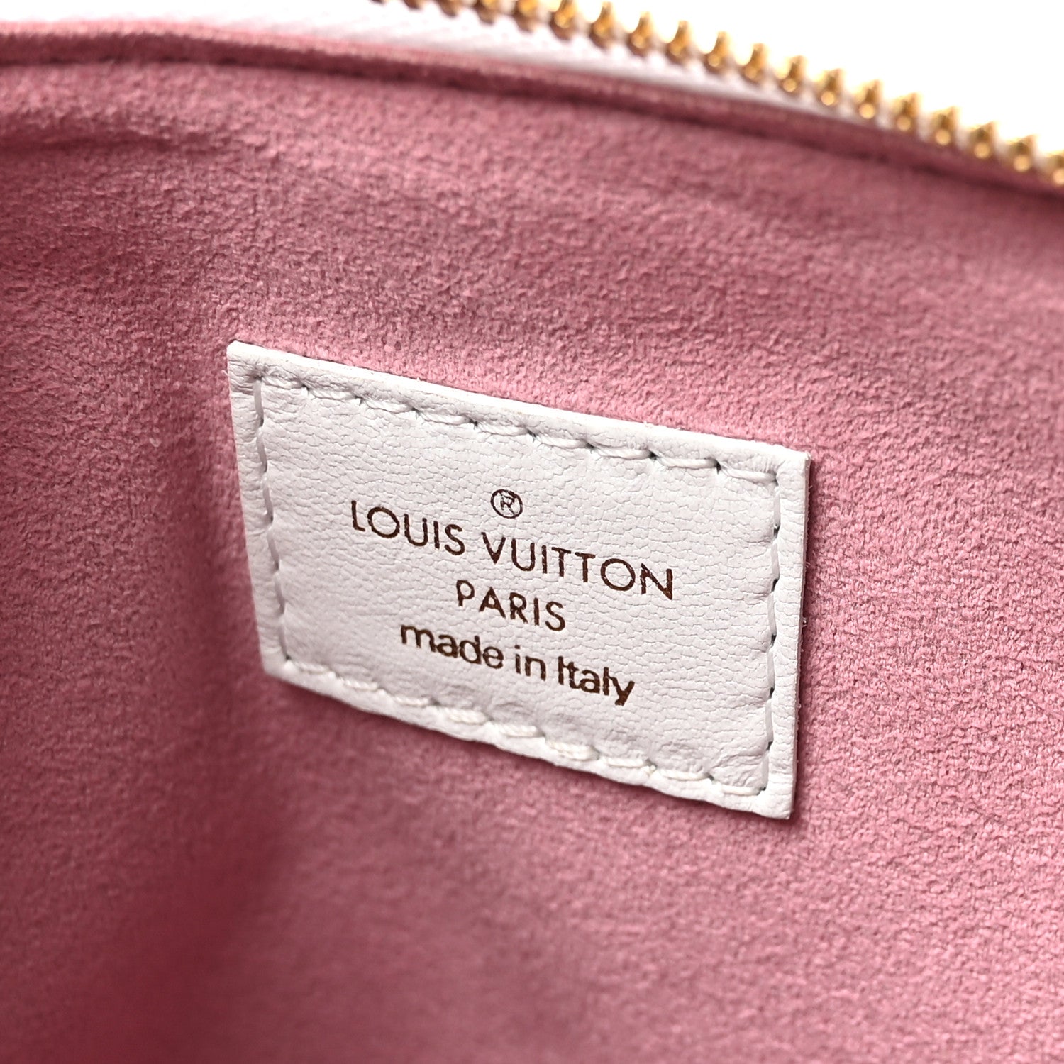 Louis Vuitton Lambskin Embossed Monogram LV Garden Coussin PM Cream 6 of 9