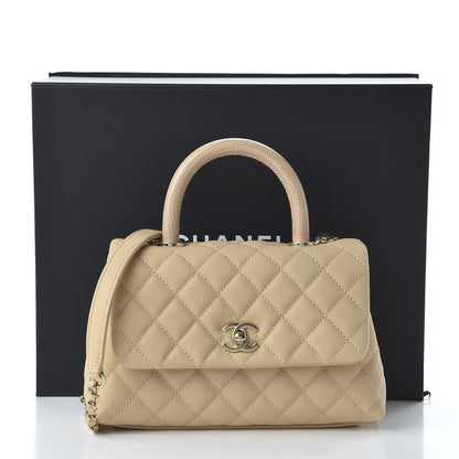 Chanel Caviar Lizard Quilted Mini Coco Handle Flap Beige 11 of 11