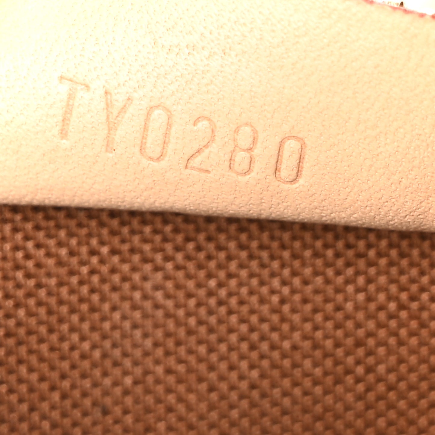 Monogram Nano Speedy