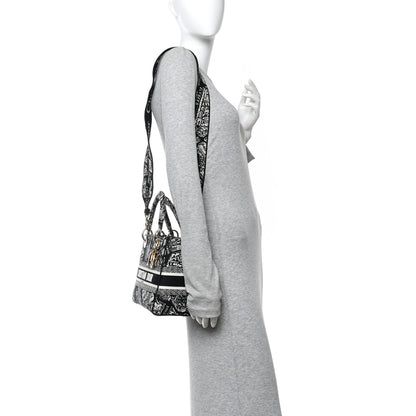Christian Dior Canvas Embroidered Medium Plan de Paris Lady D-Lite Black White 2 of 13
