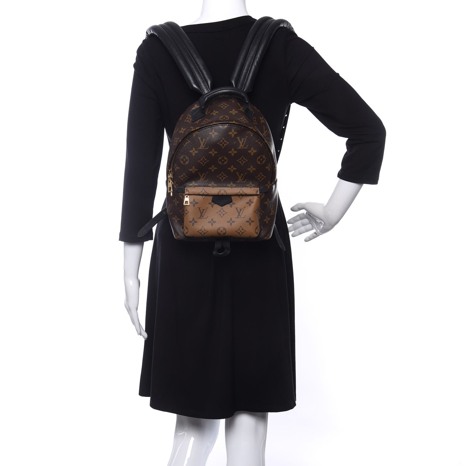 Louis Vuitton Reverse Monogram Palm Springs Backpack PM 2 of 12