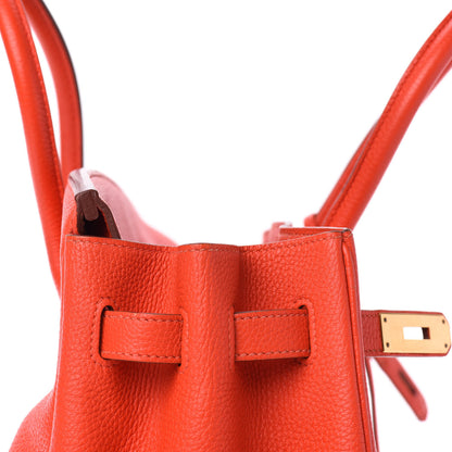 Hermes Togo Birkin 35 Capucine 13 of 31