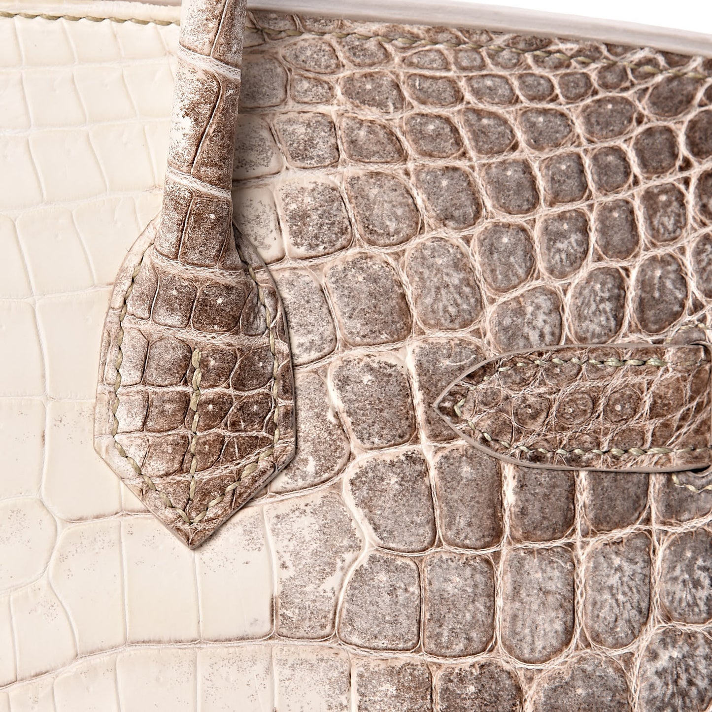 Matte Niloticus Crocodile Himalaya Birkin 30 Blanc