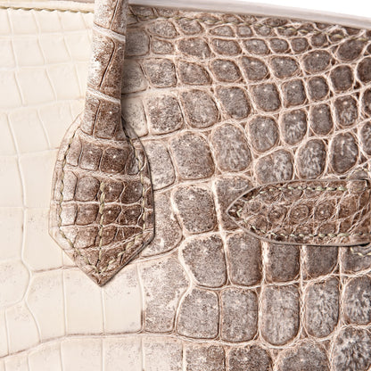 Hermes Matte Niloticus Crocodile Himalaya Birkin 30 Blanc 46 of 56