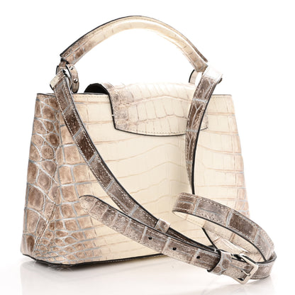 Louis Vuitton Himalaya Crocodile BB Capucines 2 of 8