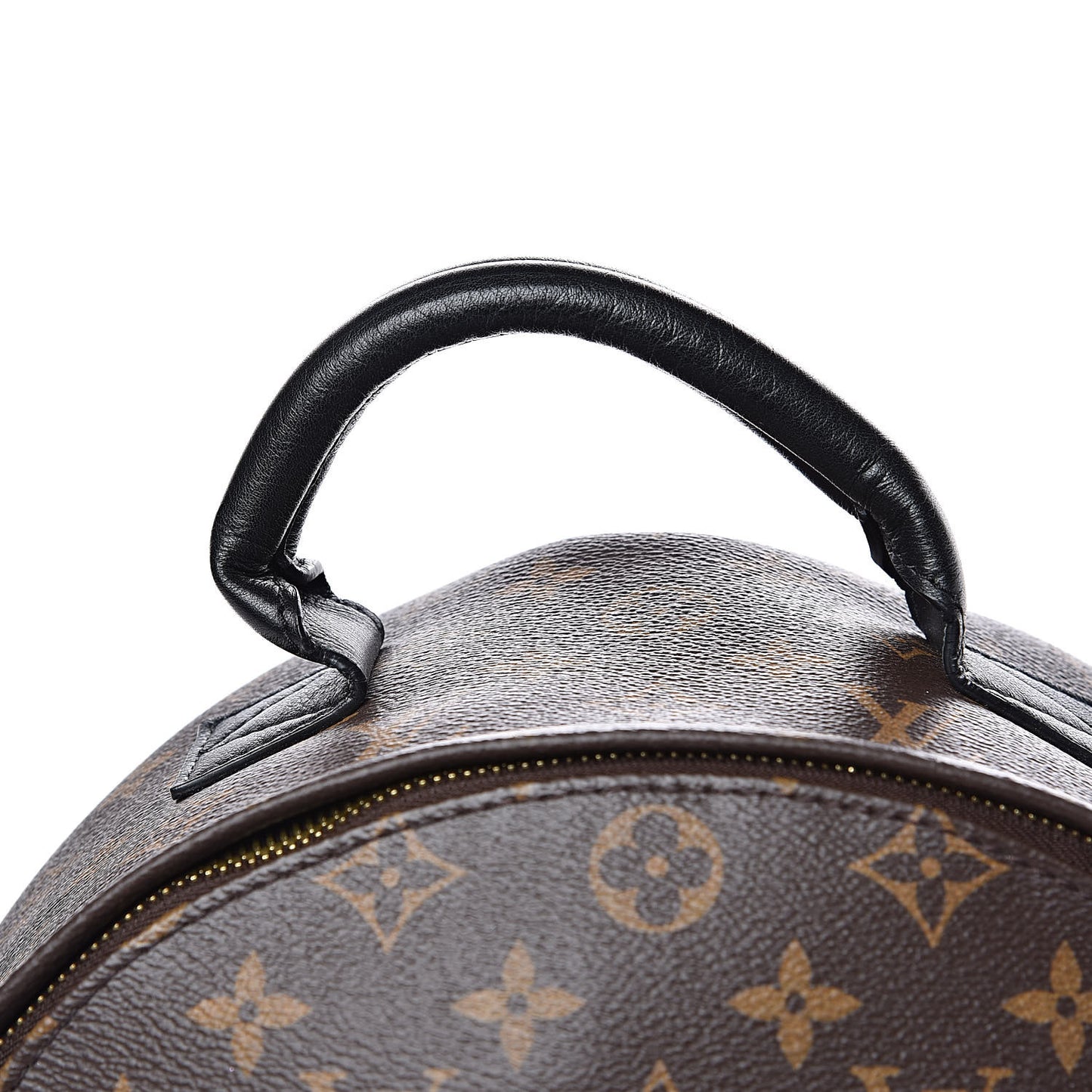 Monogram Palm Springs Backpack MM