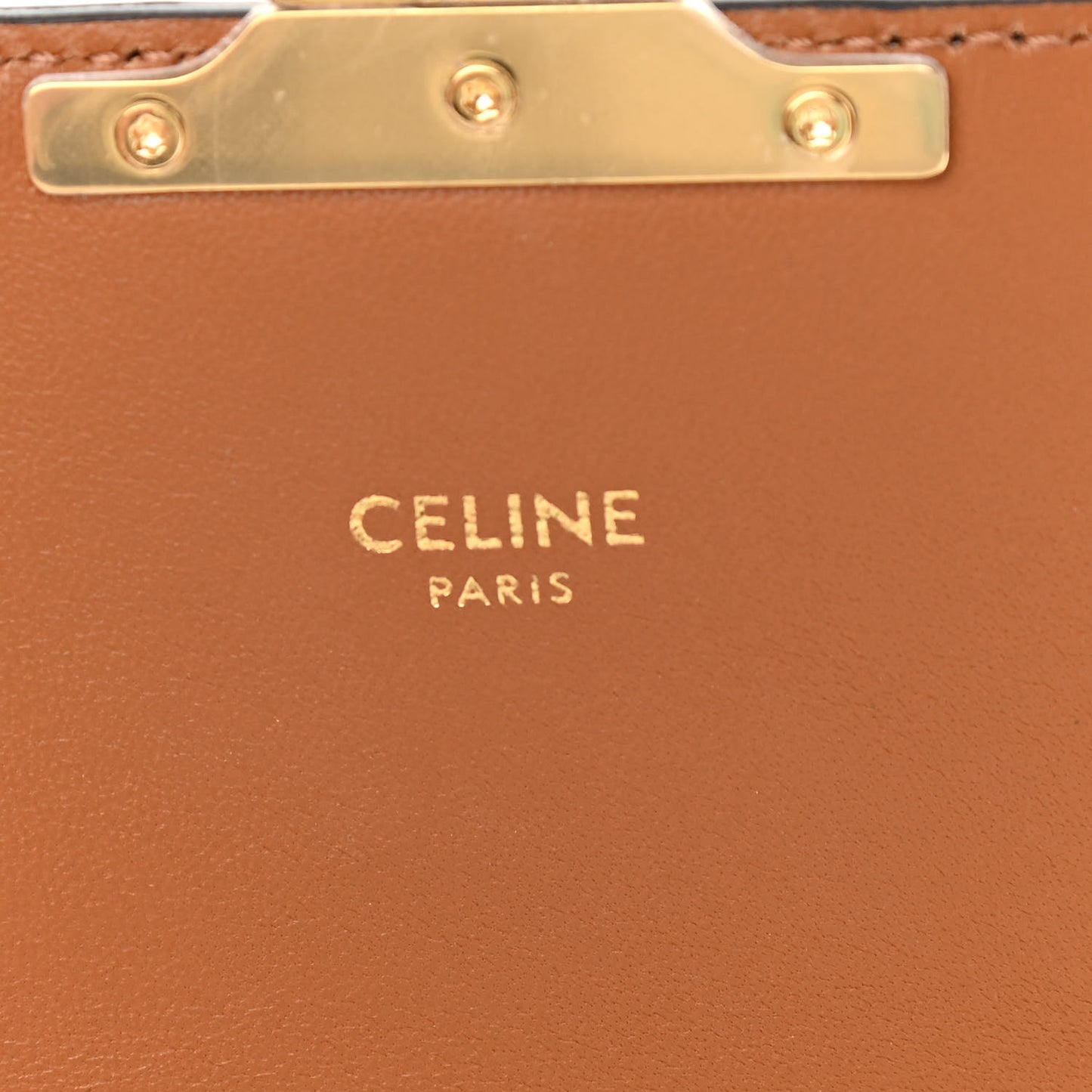 Canvas Calfskin Nano Triomphe Tan