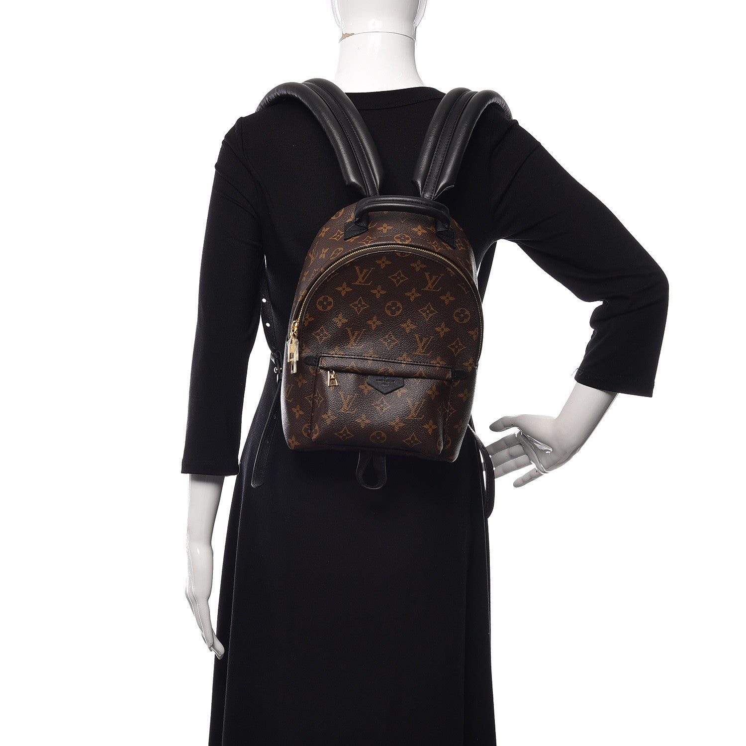 Louis Vuitton Monogram Palm Springs Backpack PM 2 of 10