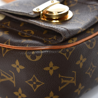 Louis Vuitton Monogram Hudson GM 7 of 15