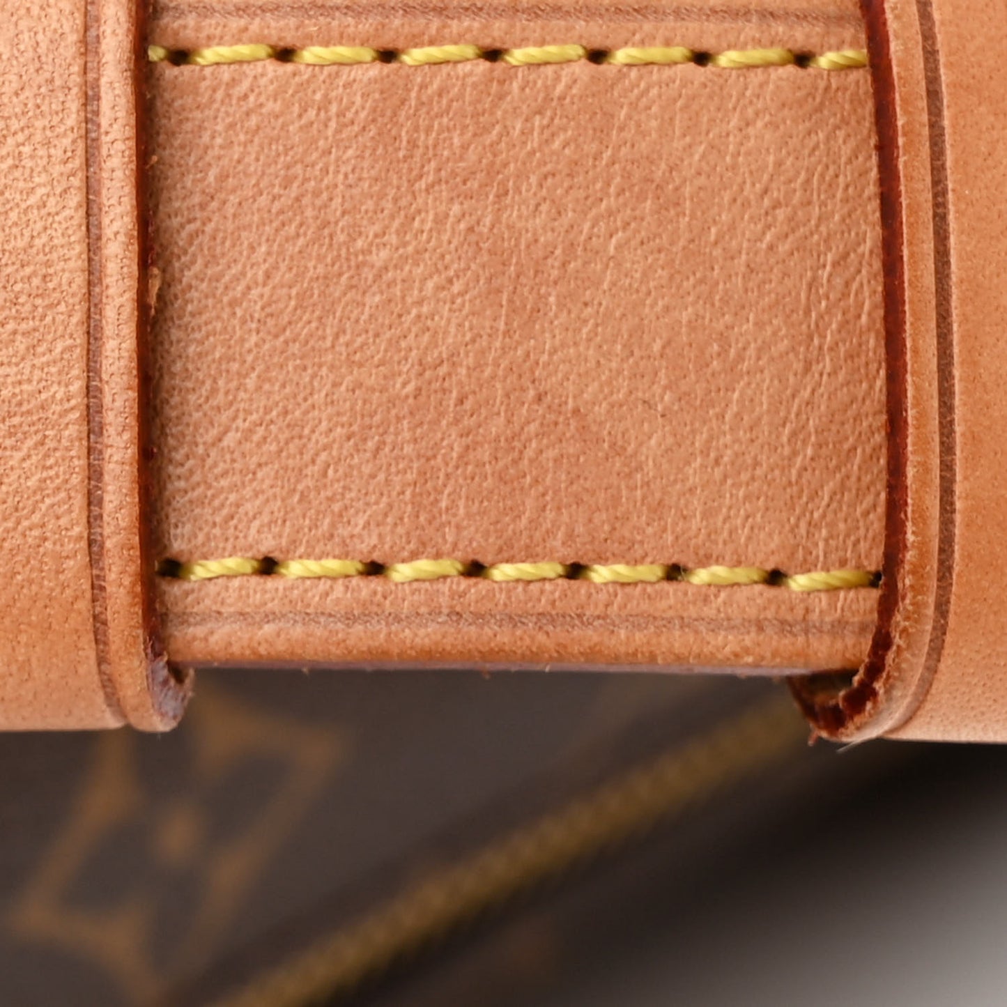 Monogram Bumbag