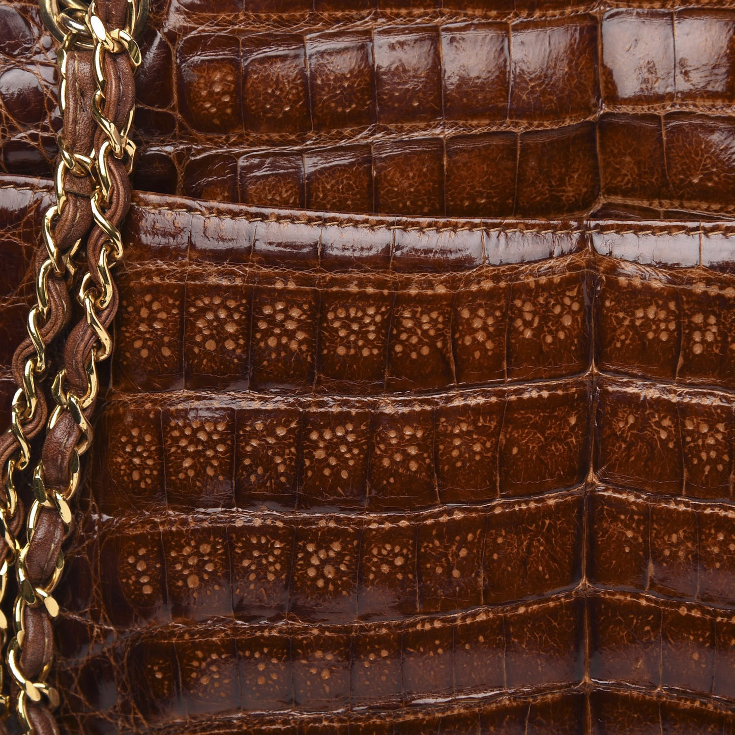 Alligator Tote Brown