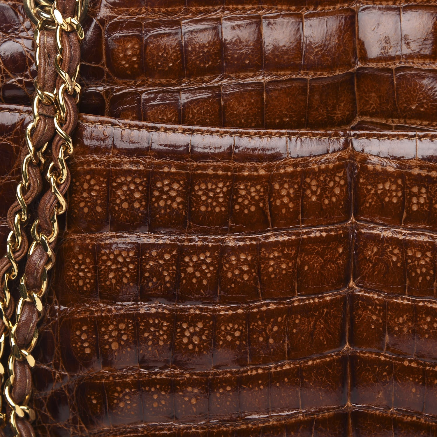 Chanel Alligator Tote Brown 11 of 12
