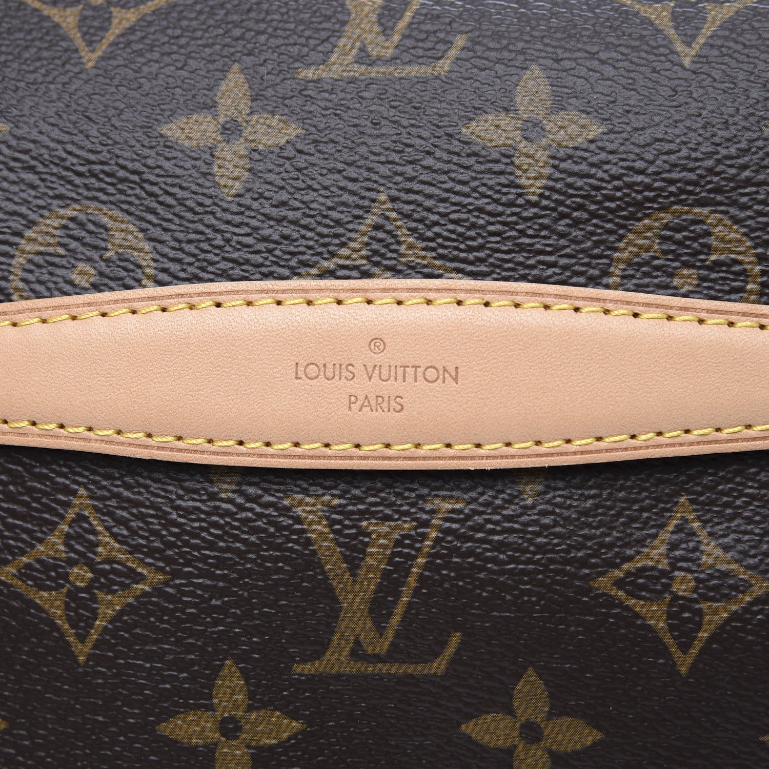 Louis Vuitton Monogram Bumbag 8 of 9