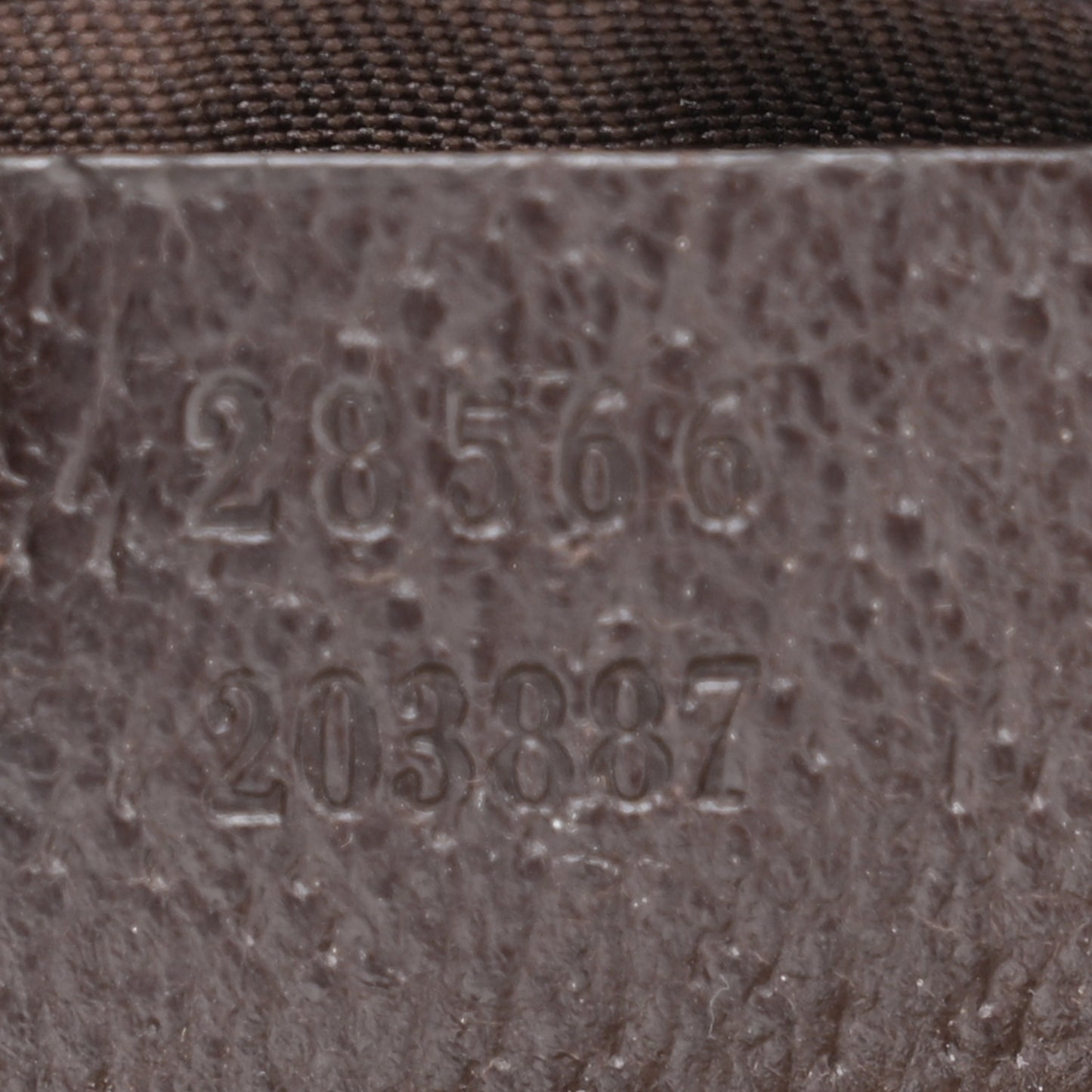 Monogram Web Belt Bag Dark Brown