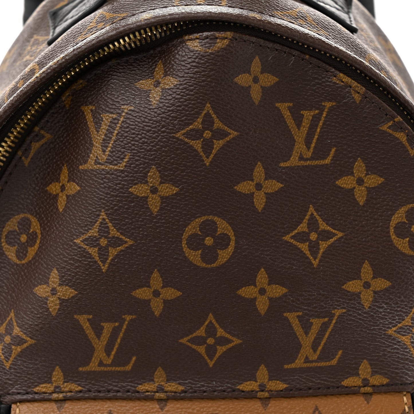 Reverse Monogram Palm Springs Backpack PM