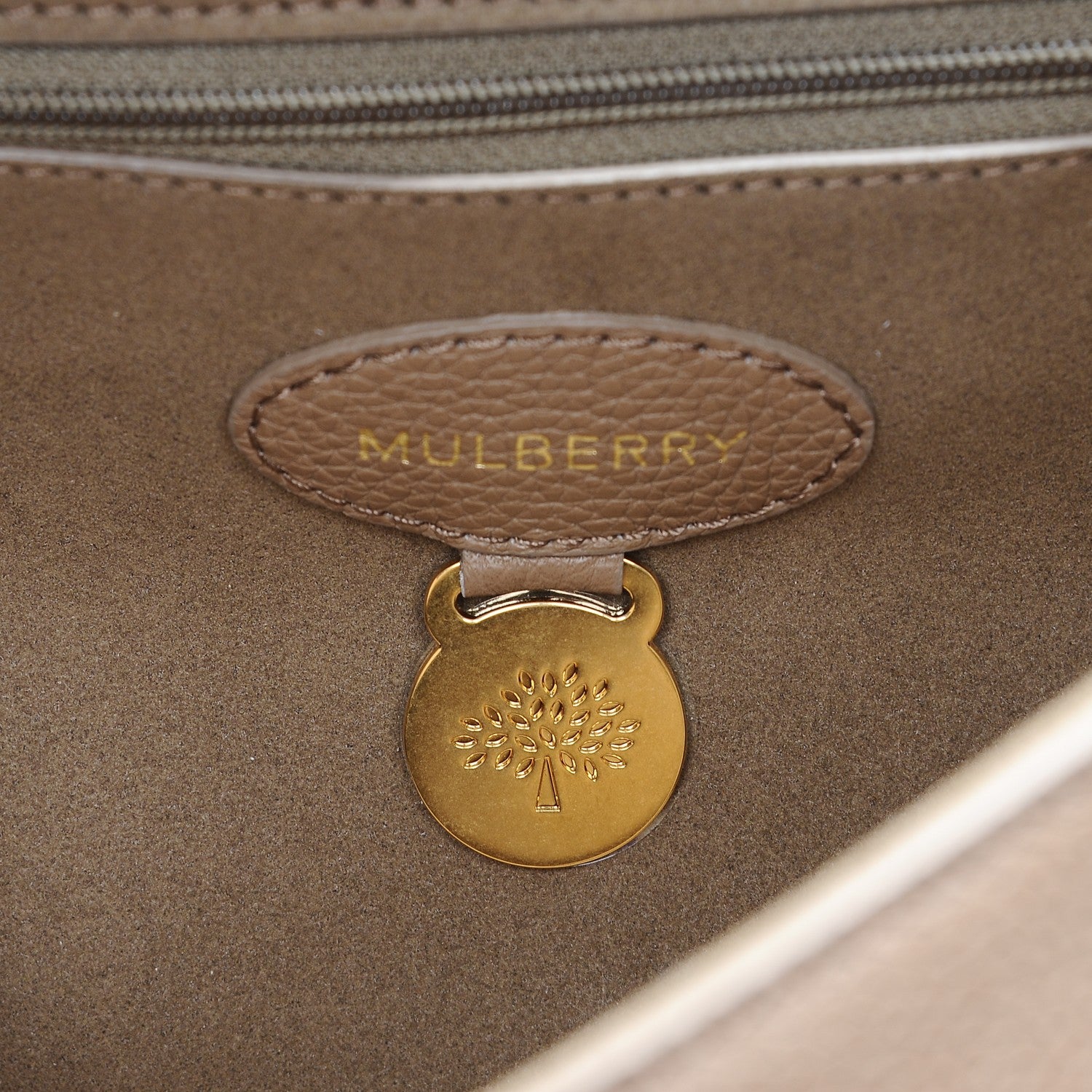 Mulberry Small Classic Grain Medium Lily Dark Beige 7 of 10