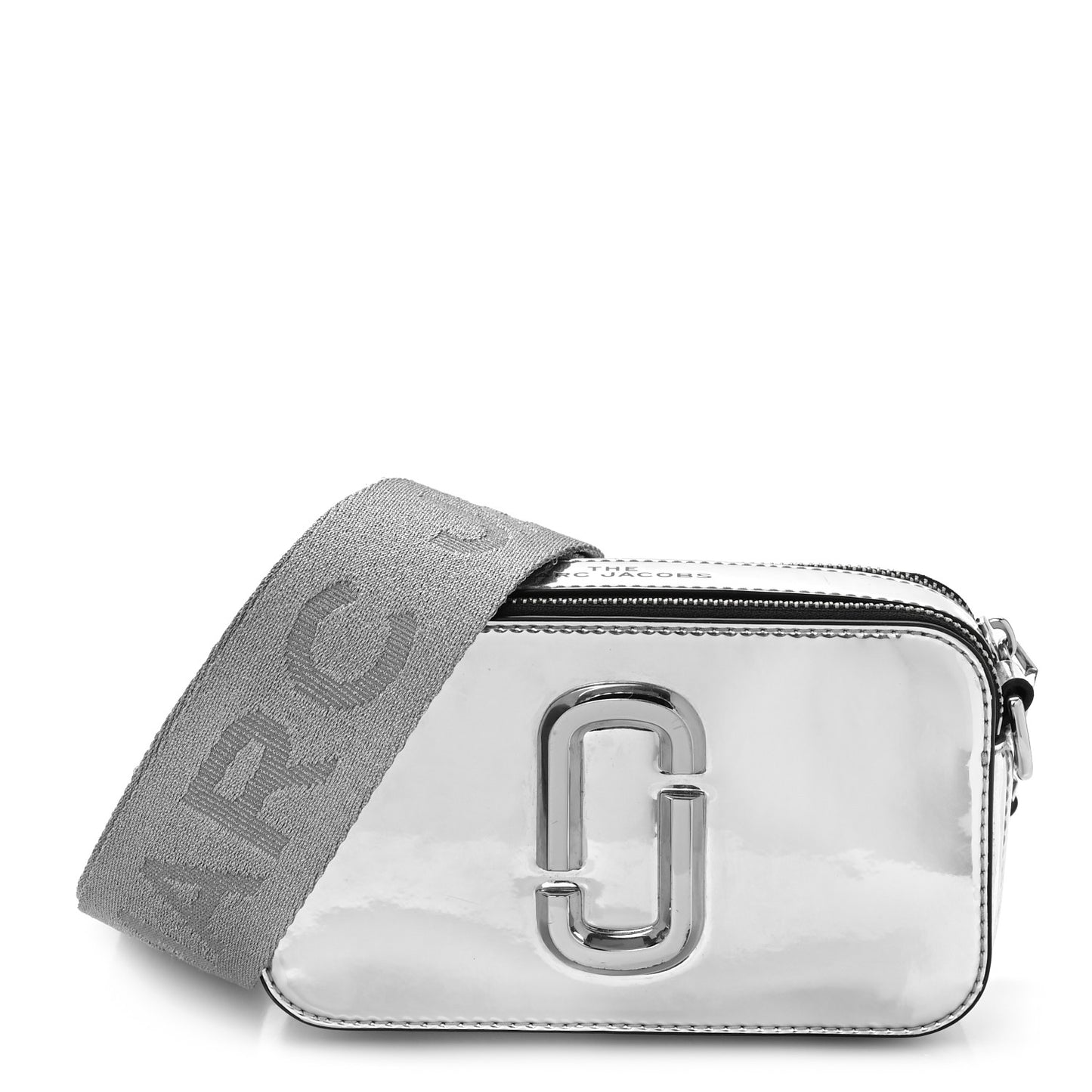 Metallic Calfskin Gen Z Snapshot Camera Bag Silver