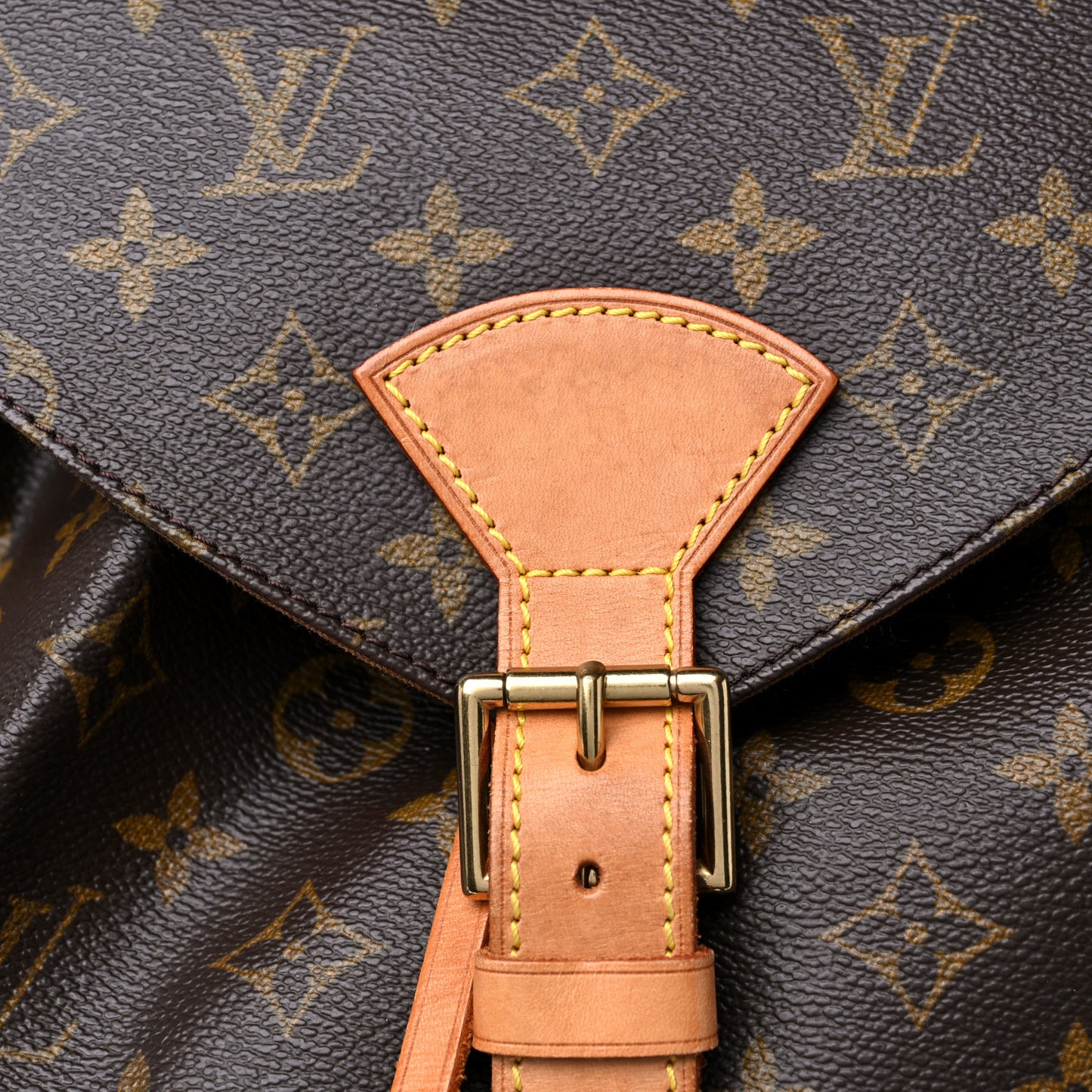 Monogram Montsouris GM Backpack