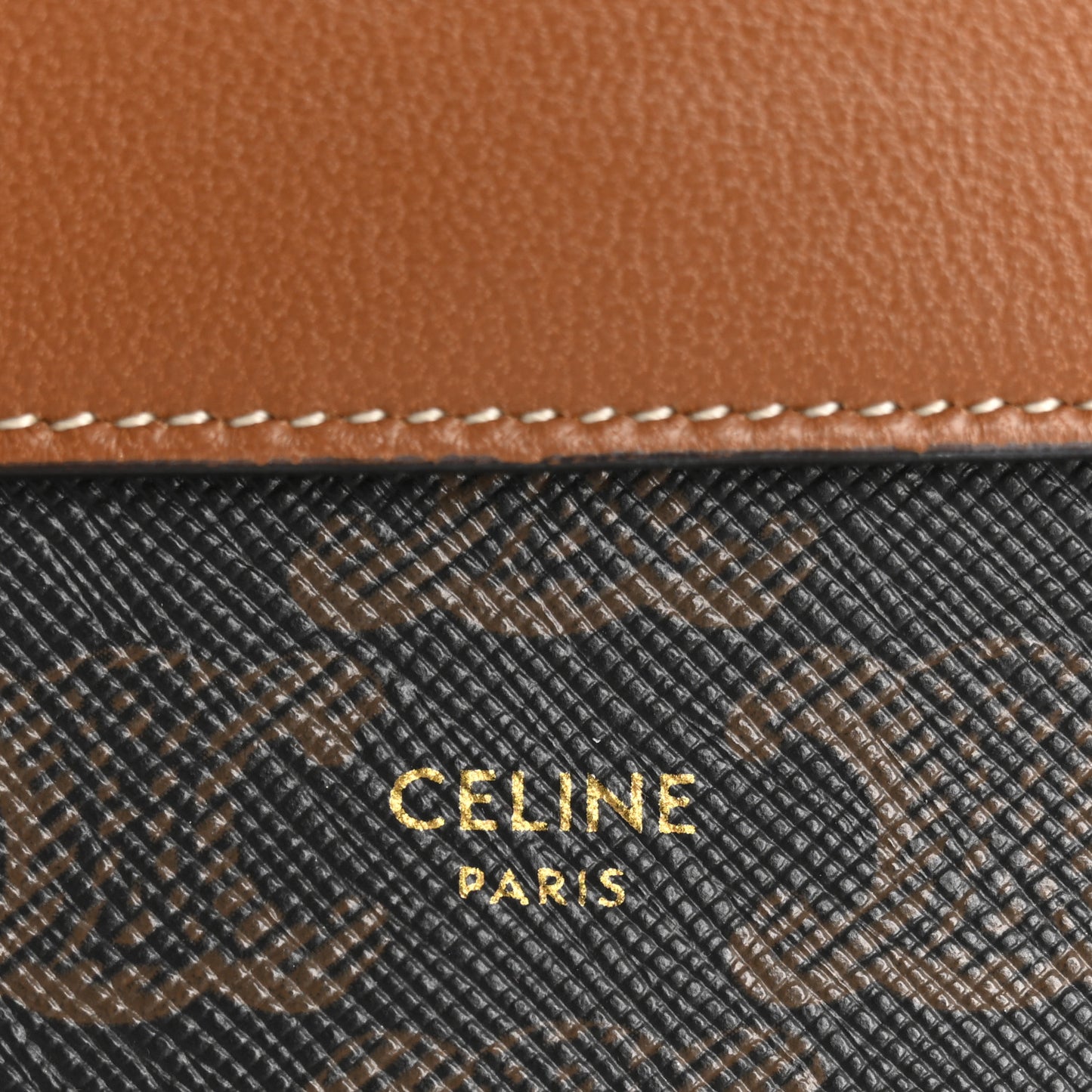 Triomphe Canvas Lambskin Wallet On Strap Tan