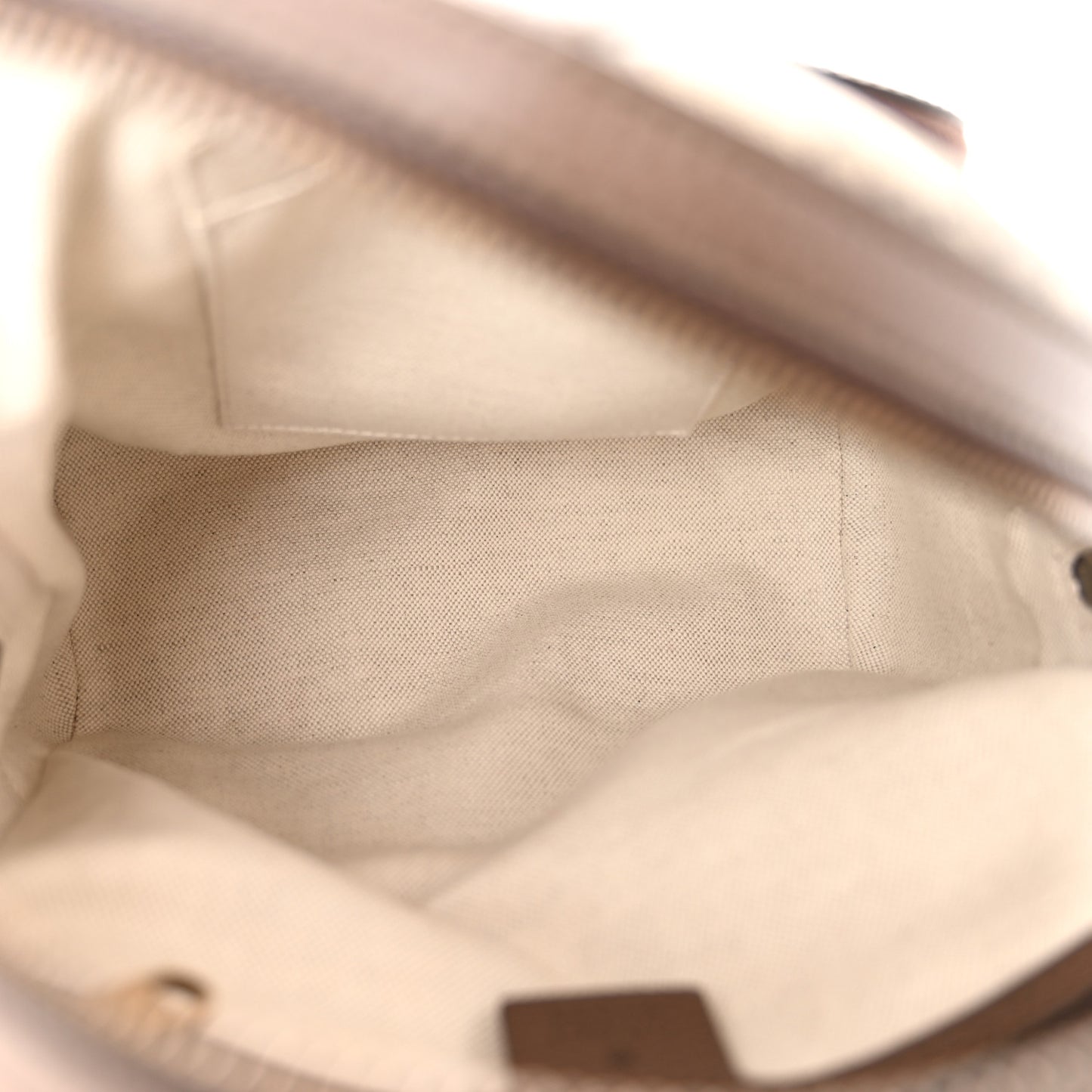 GG Supreme Monogram Calfskin Web Small Ophidia Day Backpack Beige Ebony New Acero
