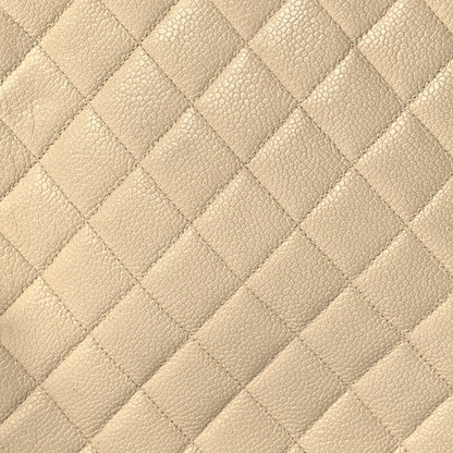 Chanel Caviar Quilted Camera Case Beige Clair 15 of 15