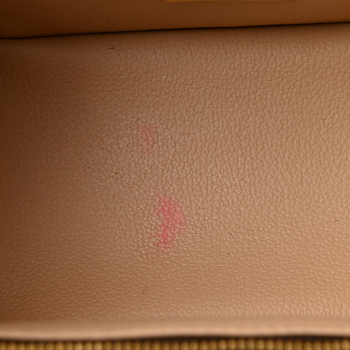 Monogram Nice Mini