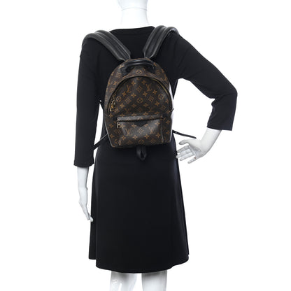 Louis Vuitton Monogram Palm Springs Backpack PM 2 of 5