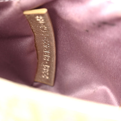 Fendi Metallic Calfskin Jacquard Zucchino Leopard Print Compilation Hobo Gold Multicolor 7 of 12