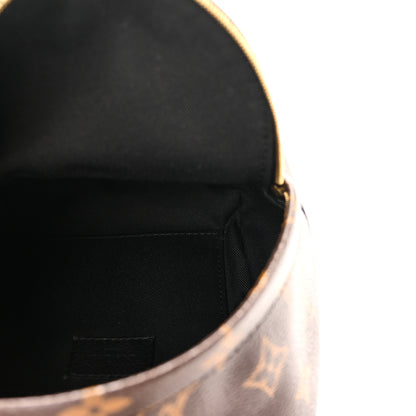 Louis Vuitton Monogram Palm Springs Backpack Mini 5 of 10