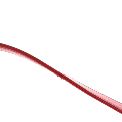 Christian Dior Lambskin Cannage Medium Lady Dior Red 9 of 12