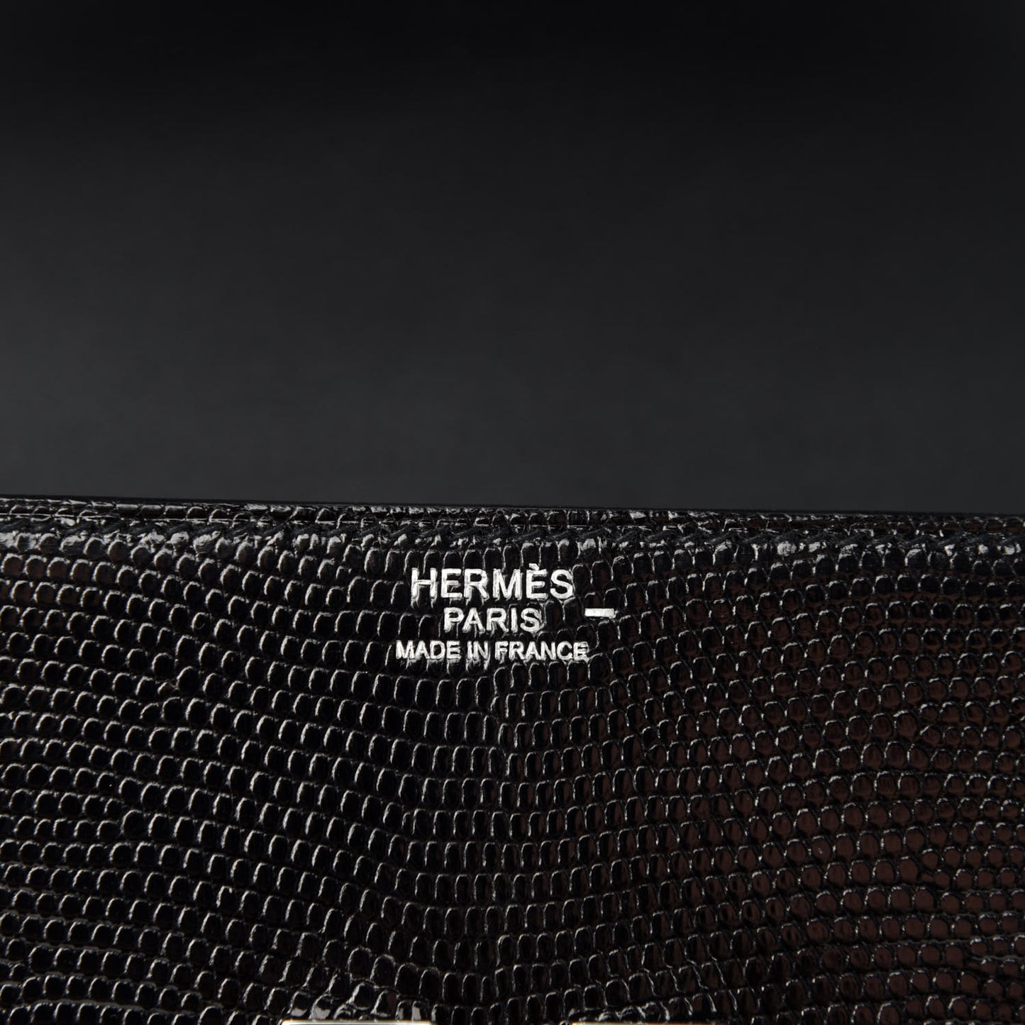 Lizard Mosaique Au 24-17 Black