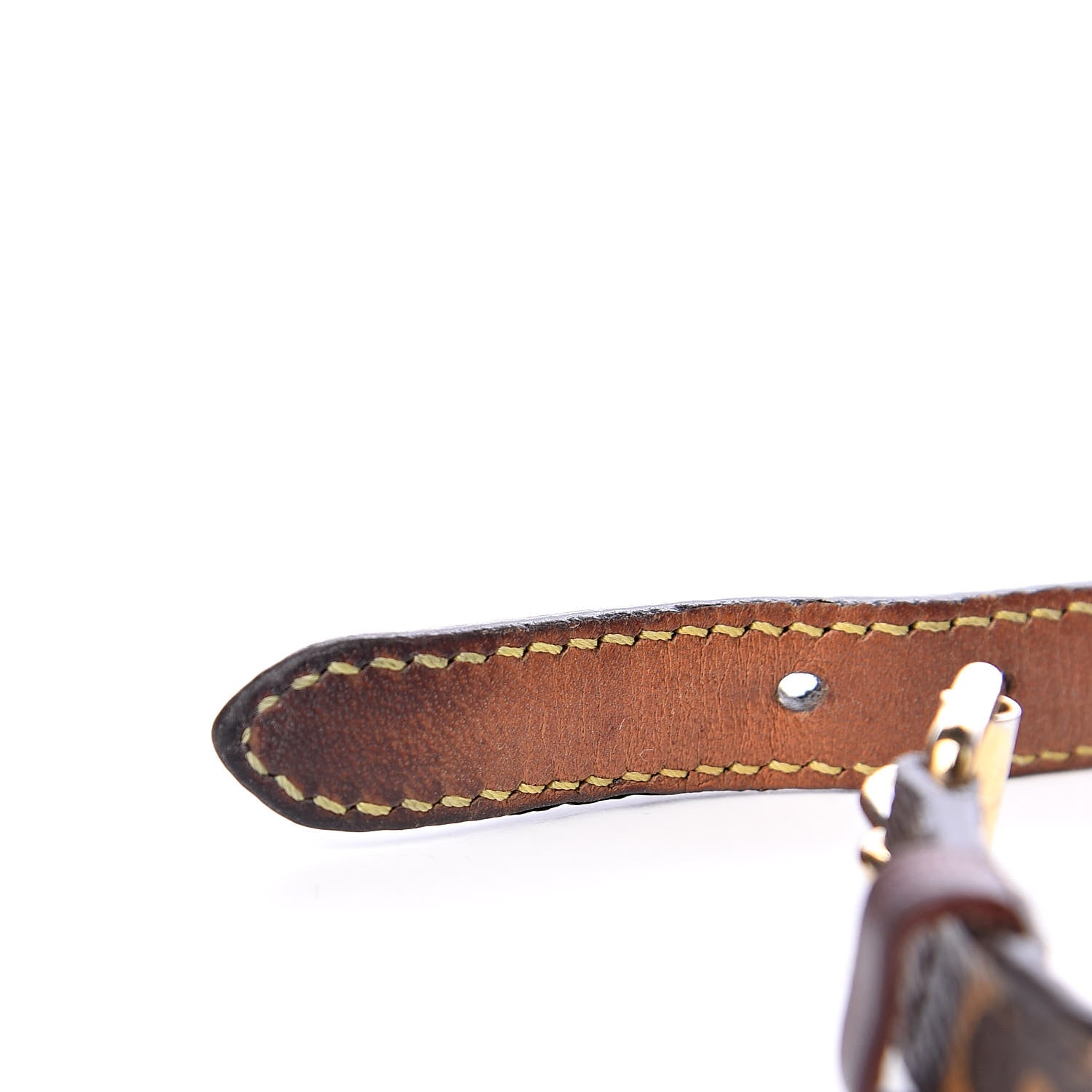 Louis Vuitton Monogram Baxter Dog Collar PM 11 of 13