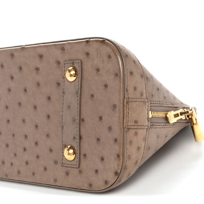 Louis Vuitton Ostrich Alma PM Gris 9 of 12