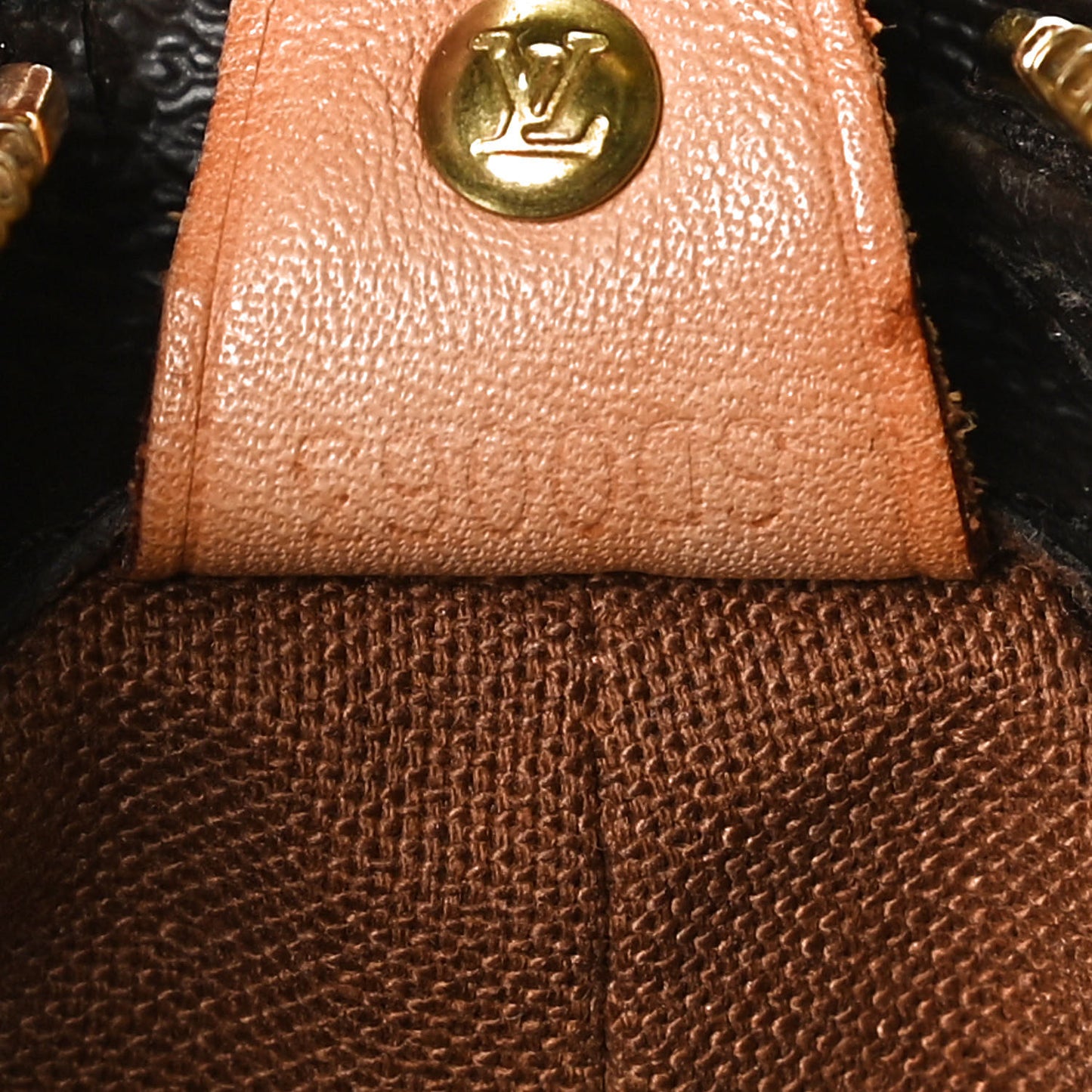 Monogram Cabas Mezzo