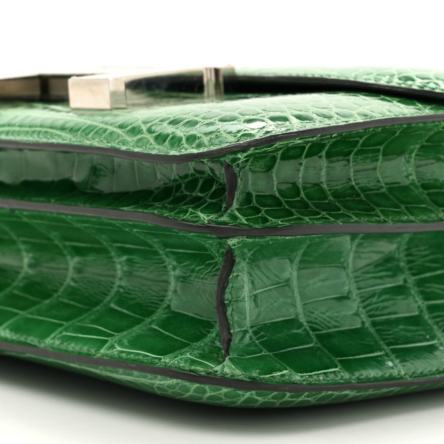 Shiny Alligator Constance 18 Cactus