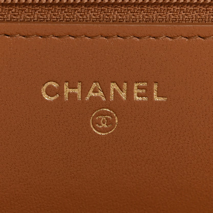 Chanel Lambskin Quilted Chanel 19 Wallet On Chain WOC Brown 6 of 15