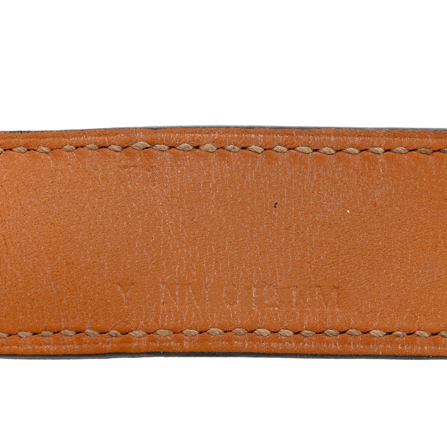 Lizard Collier De Chien CDC 24 Bracelet T1 Ombre