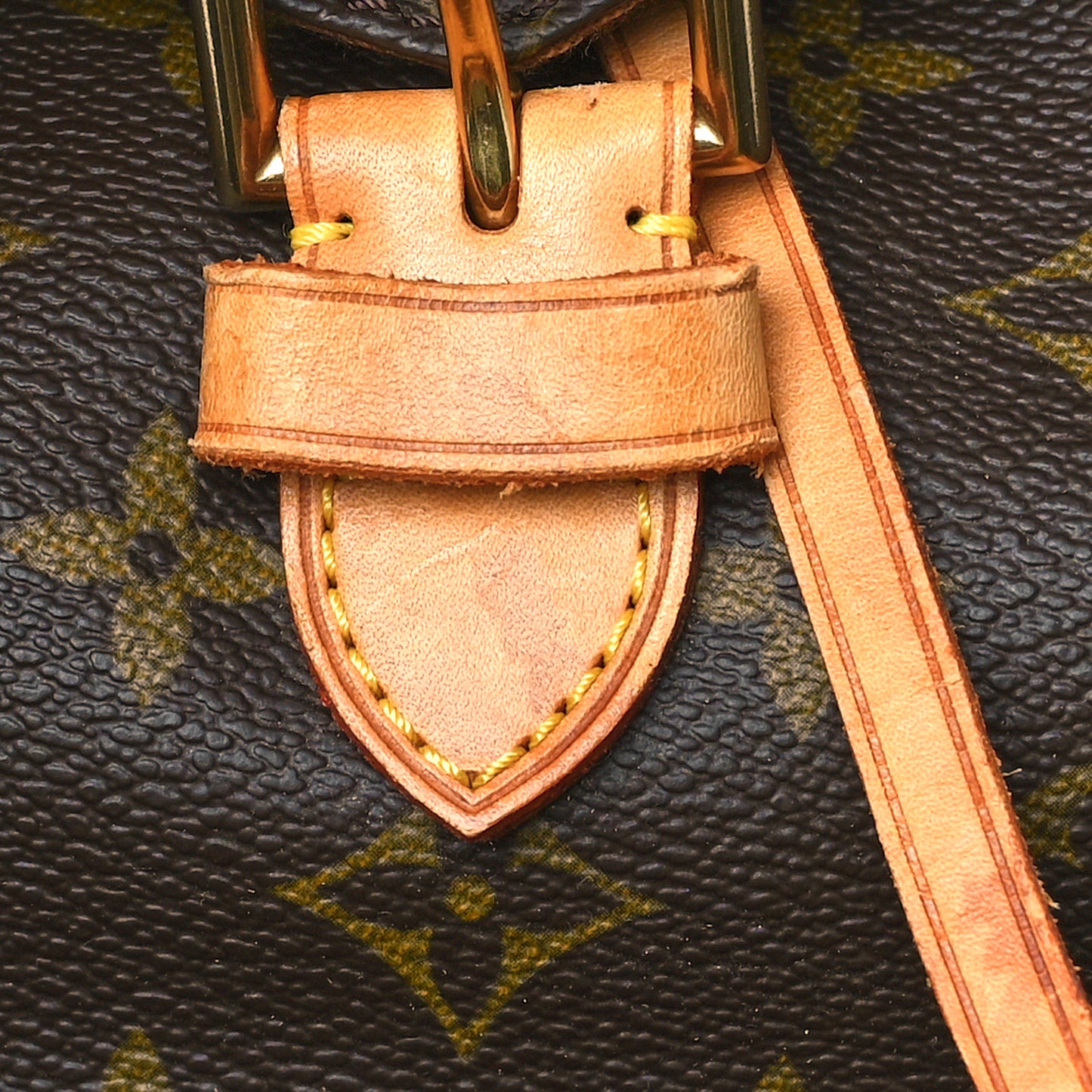 Monogram Montsouris GM Backpack