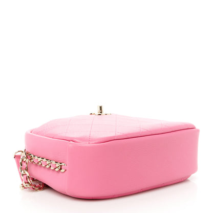 Chanel Goatskin Quilted Medium Casual Trip Camera Case Pink 4 of 10