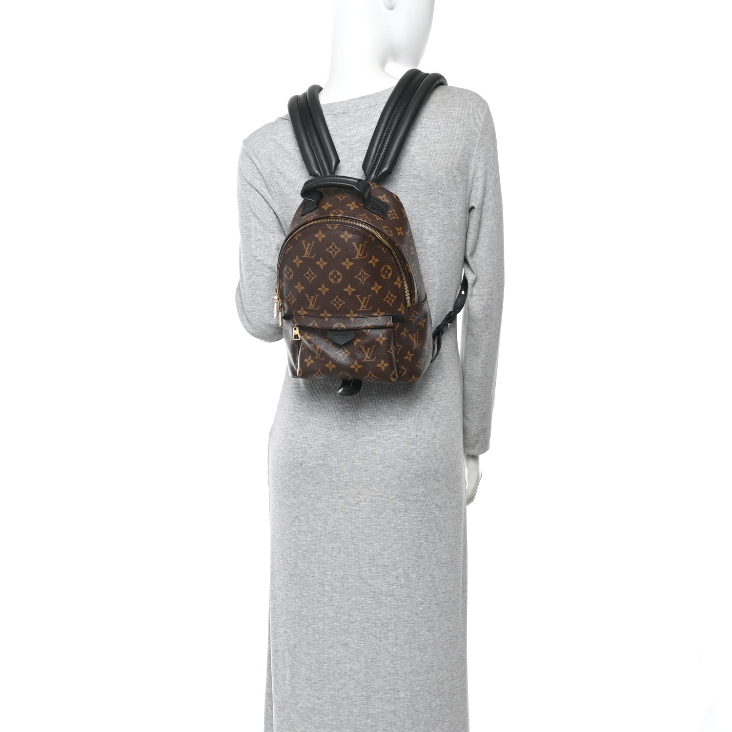 Louis Vuitton Monogram Palm Springs Backpack PM 2 of 9