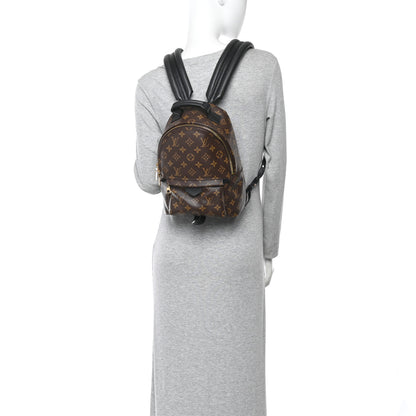 Louis Vuitton Monogram Palm Springs Backpack PM 2 of 9