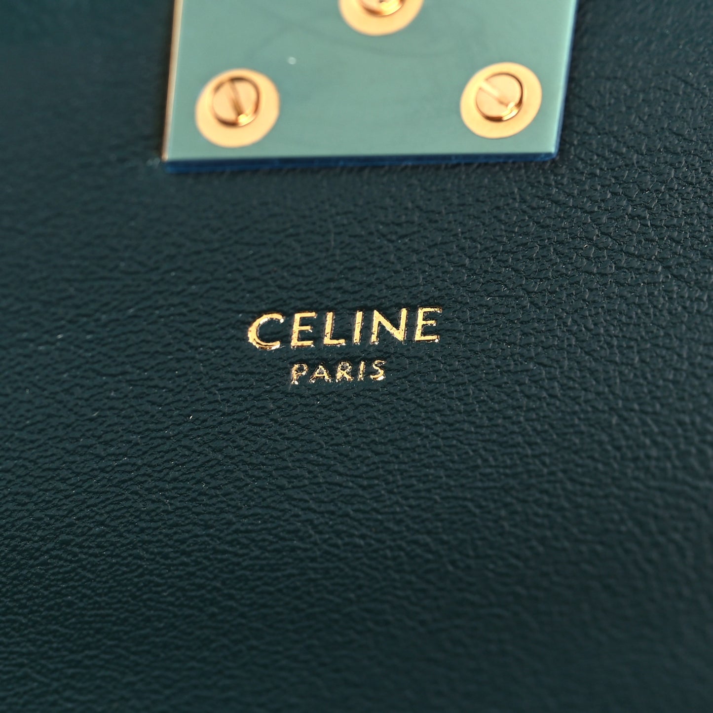 Shiny Calfskin Medium C Bag Amazone