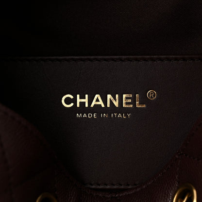 Chanel Caviar Quilted Medium Chanel 25 Handbag Dark Brown 7 of 12