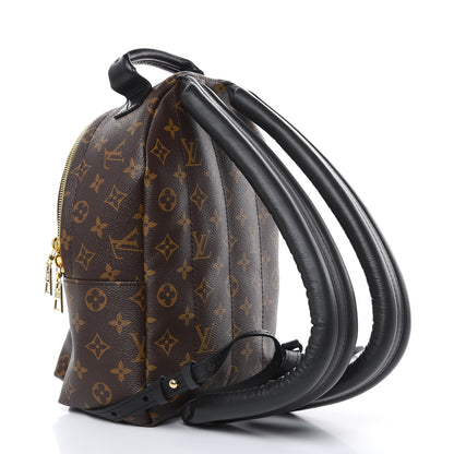 Louis Vuitton Monogram Palm Springs Backpack PM 3 of 11