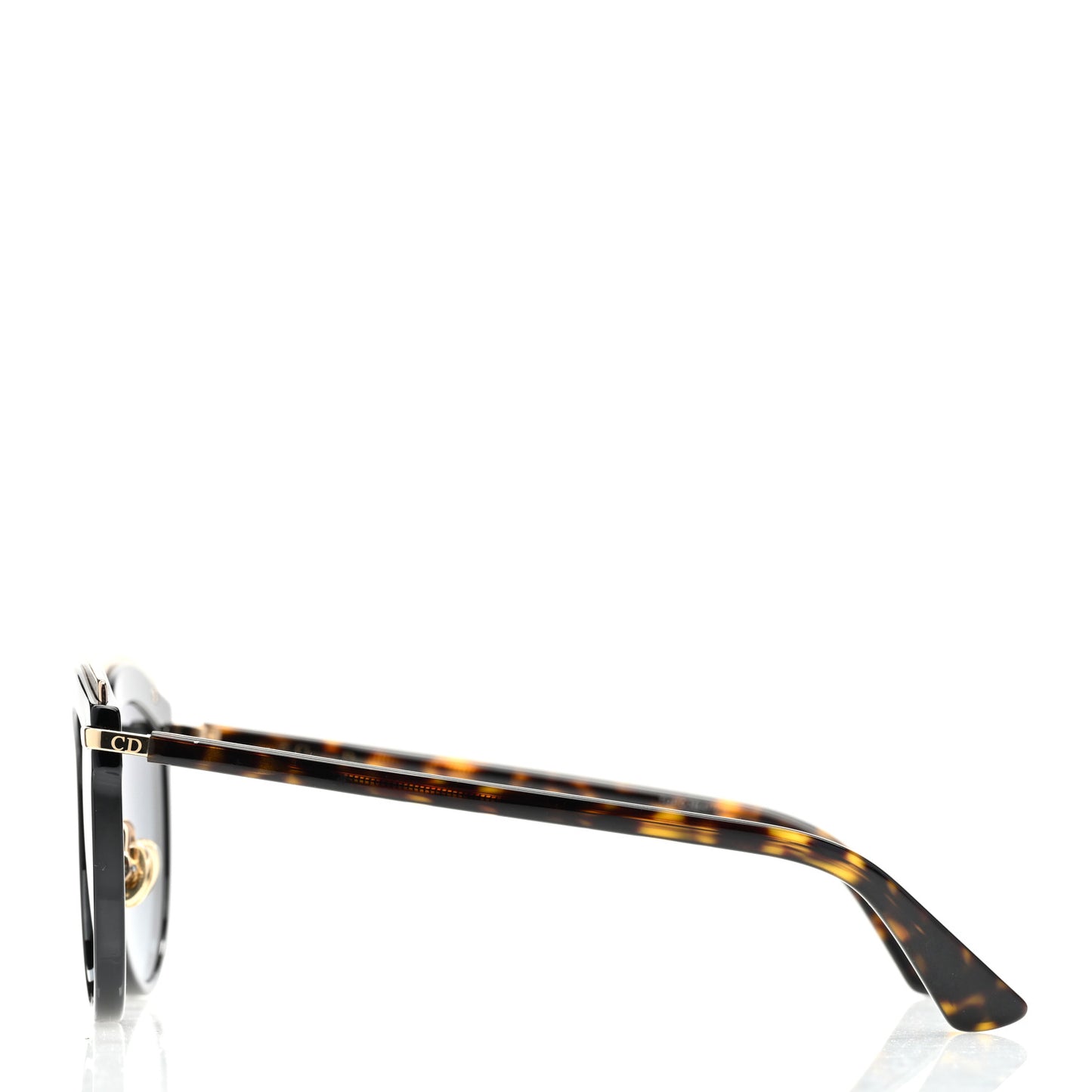 Oversized Offset 2 Sunglasses Tortoise