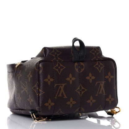 Louis Vuitton Monogram Palm Springs Backpack Mini 4 of 13