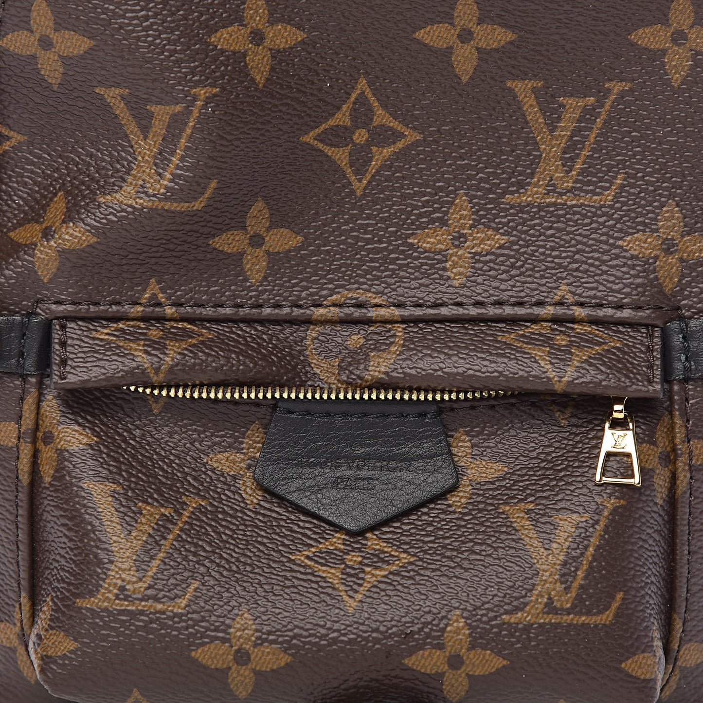 Monogram Palm Springs Backpack Mini