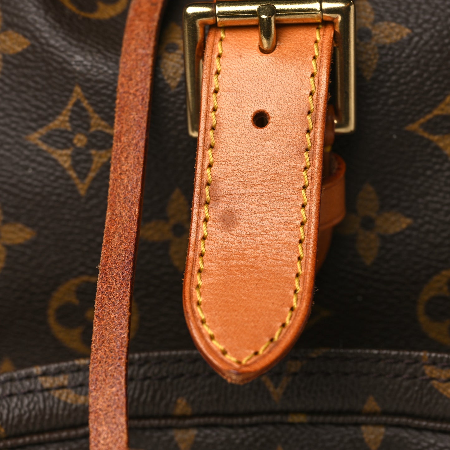 Monogram Montsouris GM Backpack